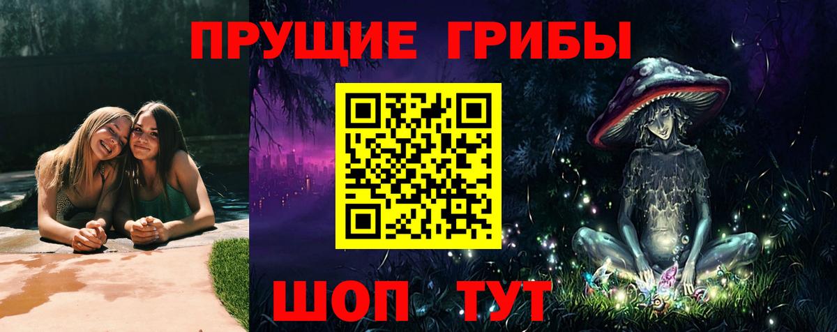 как найти   Псилоцибиновые грибы Magic Shrooms  Вход с VPN  Лесосибирск  Галлюциногенные грибы Magic Shrooms 